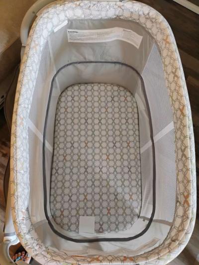 Moiss cunita - Thumbnail 5