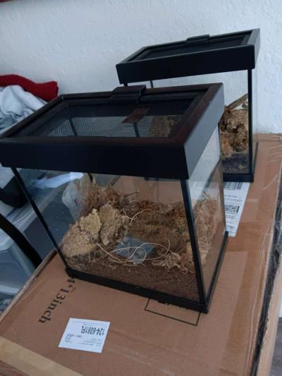 2 small reptile terrarium 1g tank