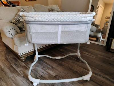 Moiss cunita - Thumbnail 6