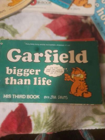 1978 to 1980 Garfield comics - Thumbnail 5