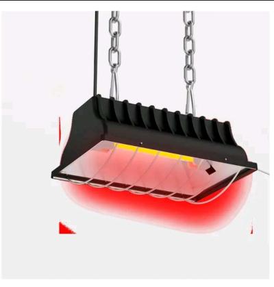 Brooder Heating Lamp