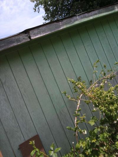 birdhouse - Thumbnail 2