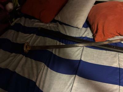 a gatona - Thumbnail 6