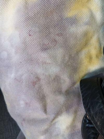 Like Dreams Backpack - Thumbnail 4