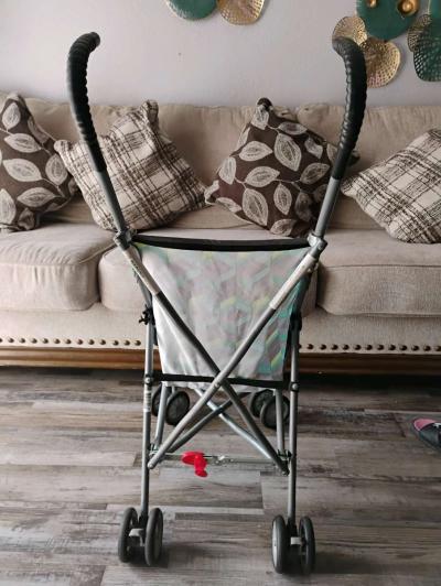 carreola - Thumbnail 4