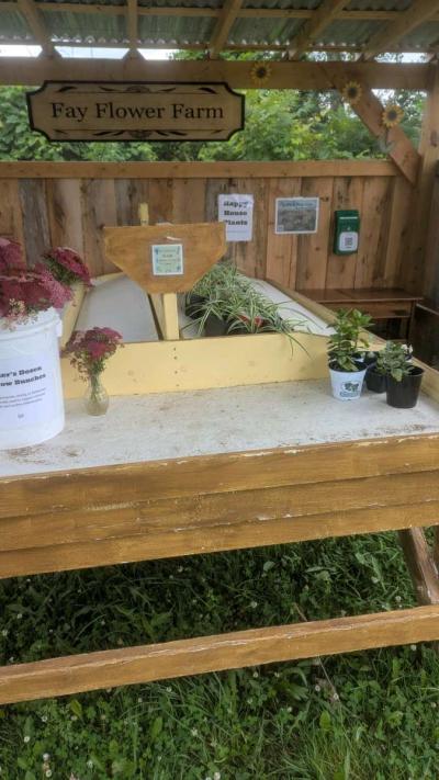 Farm Stand - Thumbnail 2