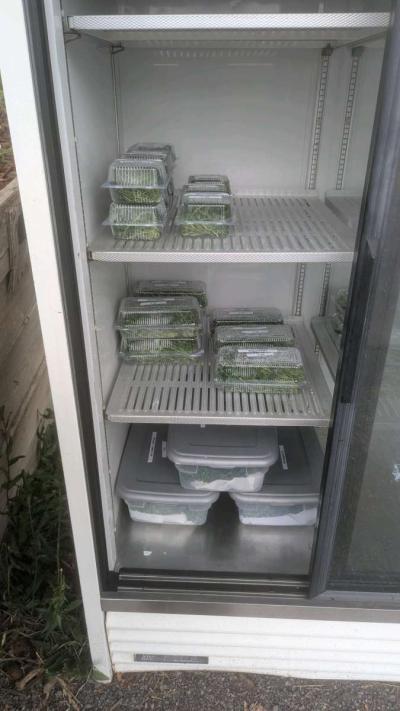 Farm Stand - Thumbnail 4