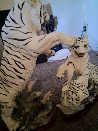 white beagle tigers pair - Marysville, California