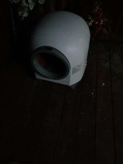 robot cat robot - Thumbnail 4