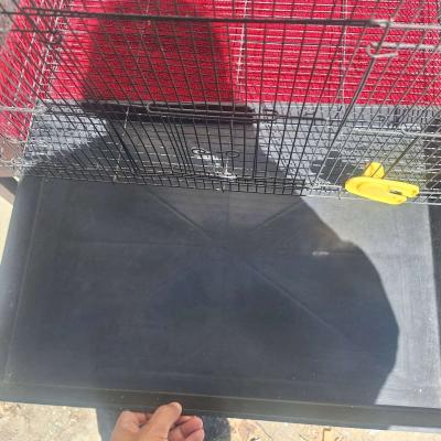 bird cage - Thumbnail 2