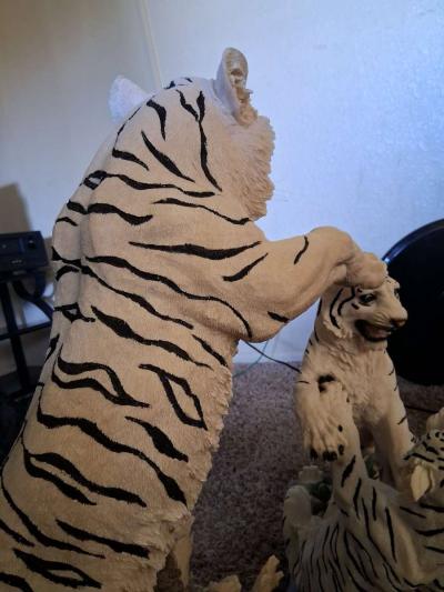 white beagle tigers pair - Thumbnail 5