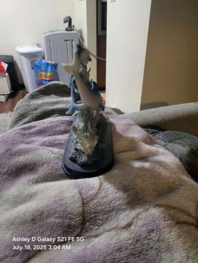 Dolphin and fish underwater oceanic sculpture oceanicart - Thumbnail 2