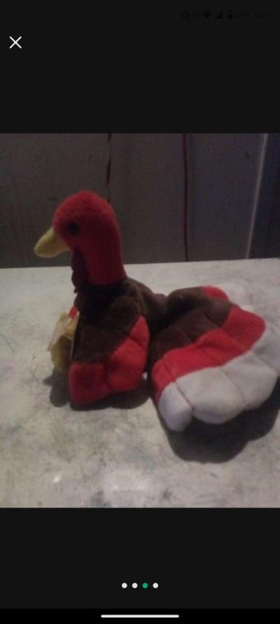 Gobbles The Turkey - Thumbnail 2