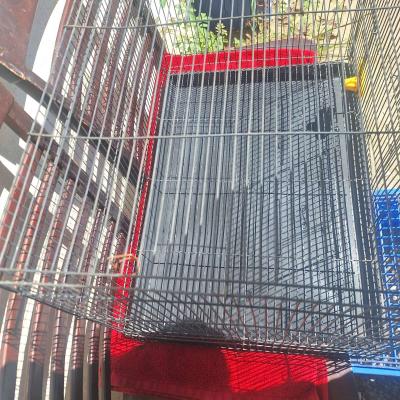 bird cage - Thumbnail 4