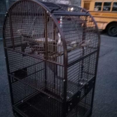 bird cage - Thumbnail 3