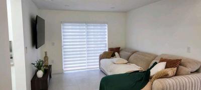 zebra Shades lights filtering o roller shades blackout o scr - Thumbnail 6