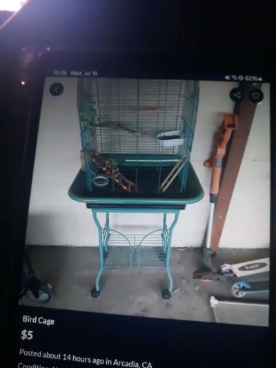 Bird Cage new - Thumbnail 2