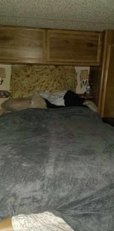 1986 Fleetwood bounder rv - Thumbnail 3