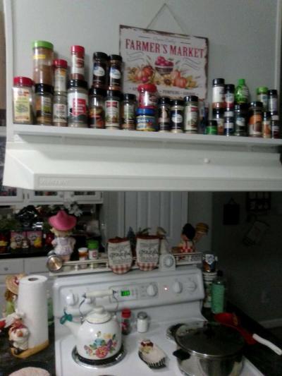 nice mobile home four years old one  family  one time you - Thumbnail 3