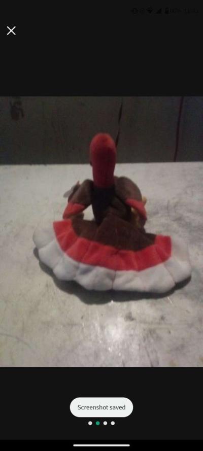 Gobbles The Turkey - Thumbnail 3