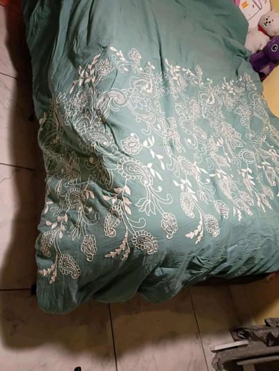 Teal Green Full Size Bed Set asking 30 OBO - Thumbnail 2