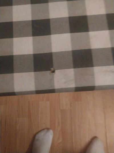 White Entryway Bench - Thumbnail 4