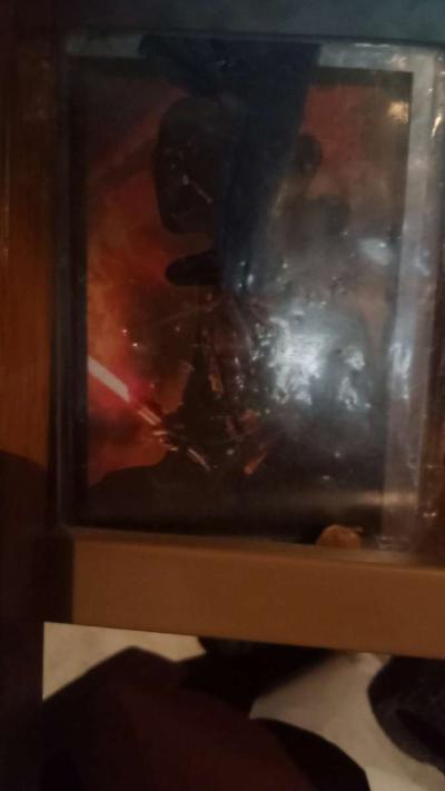 number 53 Pokemon collector coin Persian Dark vador - Thumbnail 2