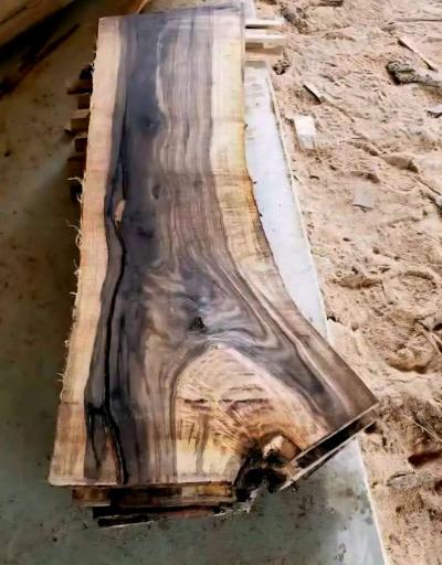 Tree Removal and Specialty Solutions - Thumbnail 2