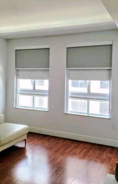 zebra Shades Roller shades screen o blackout - Thumbnail 2