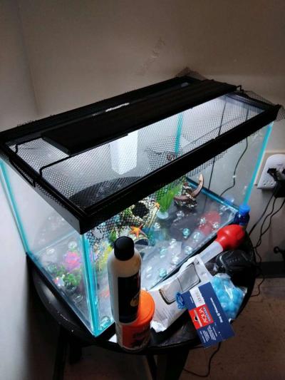 10 gallon fish tank and a goldfish kit with everything - Thumbnail 2