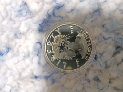 100 non circulated US mint pure Platinum coin - Thumbnail 2