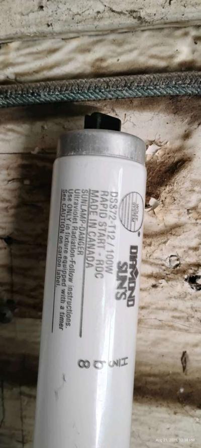 diamond suns tanning bulbs 16 - Ocilla, Georgia