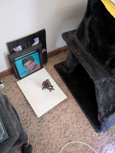 Everything Elvis Presley paraphernalia - Thumbnail 6
