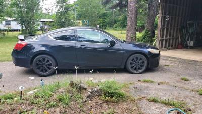 2008 Honda Accord - Thumbnail 5