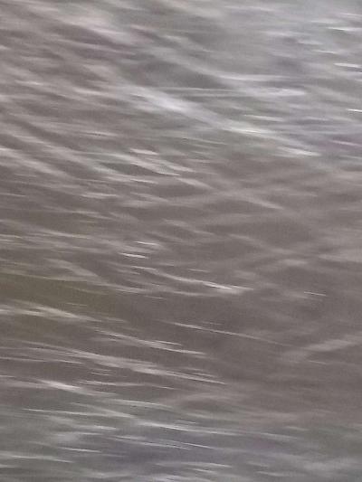 dishwasher - Thumbnail 2