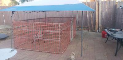 10x8x4ft tall dog kennel - Thumbnail 2