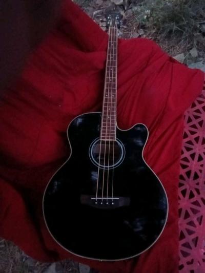 acoustic electric guitar bass