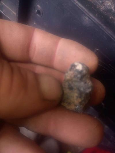 lil metal composite pet creatures that move  an change shape