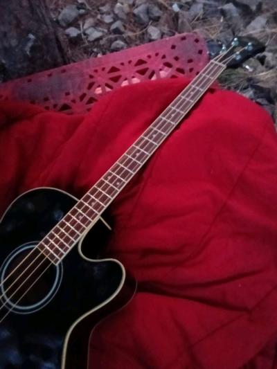 acoustic electric guitar bass - Thumbnail 5