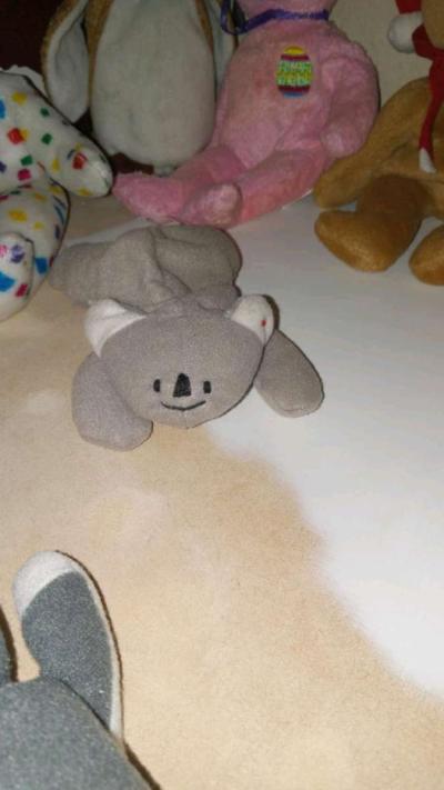 Rare and Valuable Beany Babies - Thumbnail 2