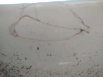 big white sink - Thumbnail 2