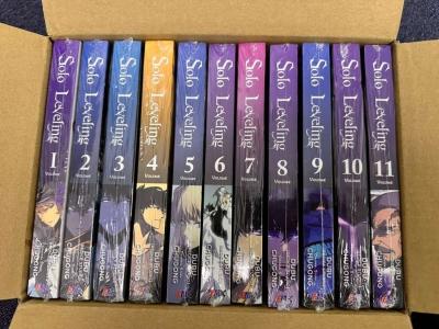 one piece and solo leveling manga