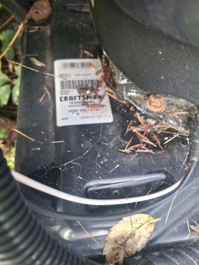 power washer - Thumbnail 3