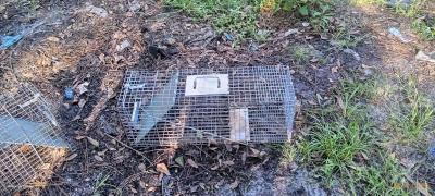 two medium size animal traps - Thumbnail 3