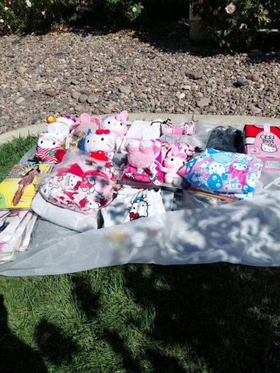 yard Sale at 29800 Boathouse cv Menifee ca September 7 at 9 - Thumbnail 4