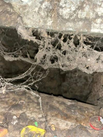 Duct Vent and Dryer Vent Cleaning Services - Thumbnail 5