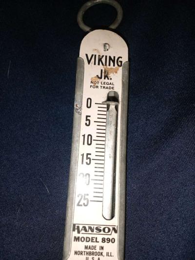 Viking hand scale - Thumbnail 2
