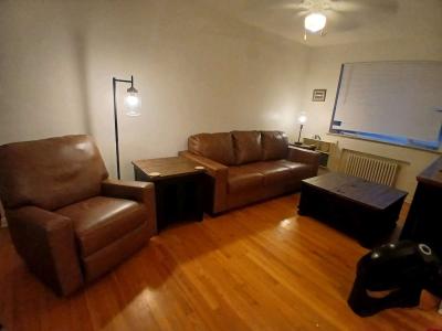 pull out couch 2 side tables coffee table 2 lamps recliner