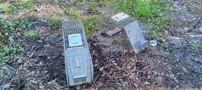 two medium size animal traps - Thumbnail 2