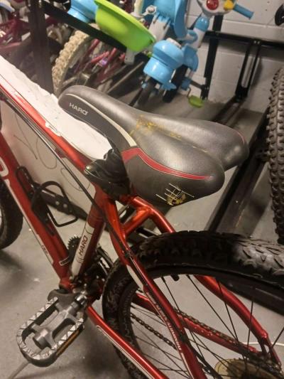 Red 2013 Haro Flightline Sport  Custom Wheel Art Flat Tire - Thumbnail 4